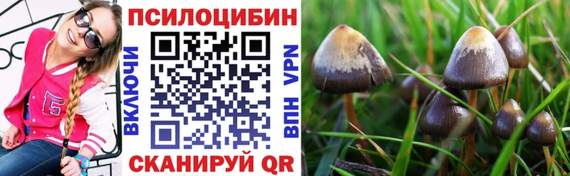 купить наркотики сайты  Козьмодемьянск  Галлюциногенные грибы прущие грибы 